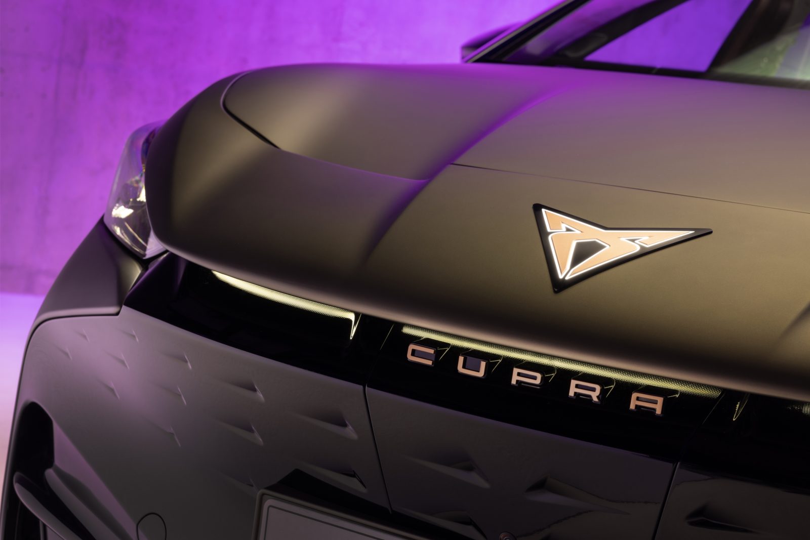 Cupra Tavascan