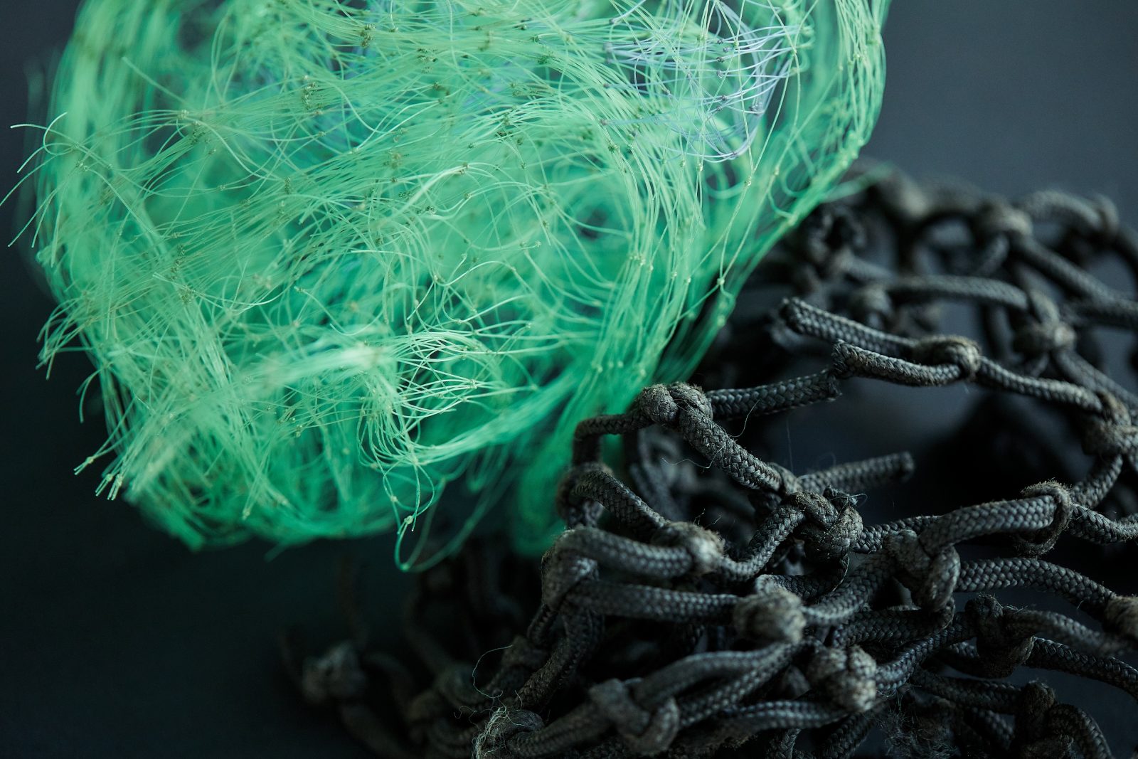 Kia takes steps towards sustainability